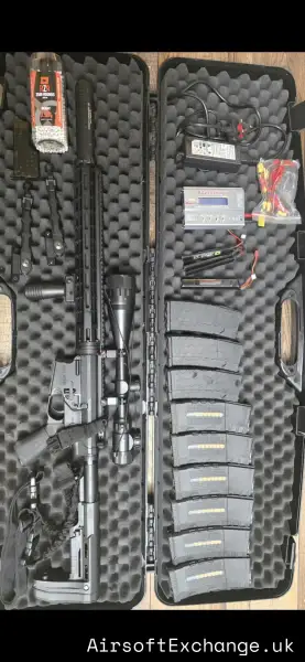 DMR with mags and batteries