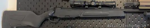ASG Steyr Scout + Vortex Scout Scope