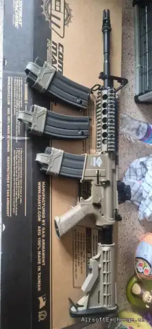 G and g cm16 gbbr