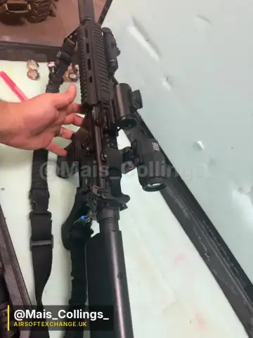Tokyo Marui 416D , mags and plate carrier set
