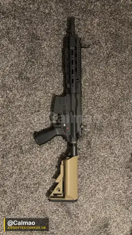 G&G Carbine